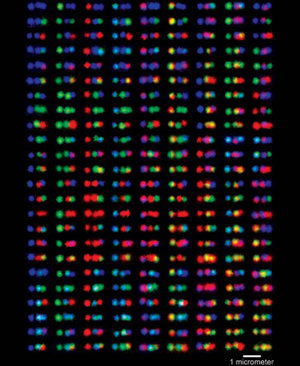 Fluorescent bar codes