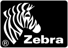 zebra-image